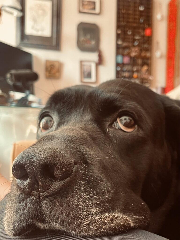 IDruzhinina, August 2025, Kew