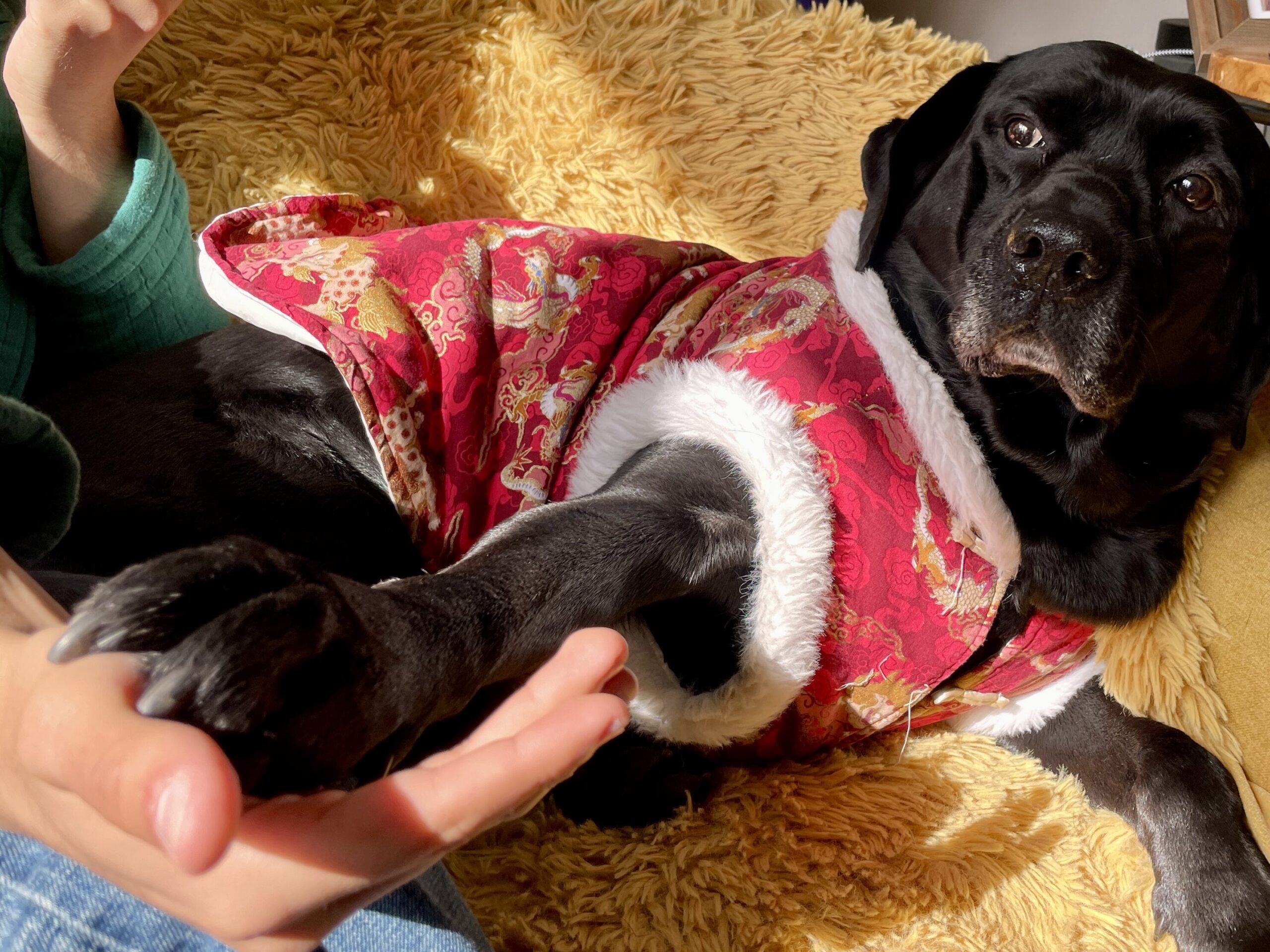 IDruzhinina, August 2025, Kew