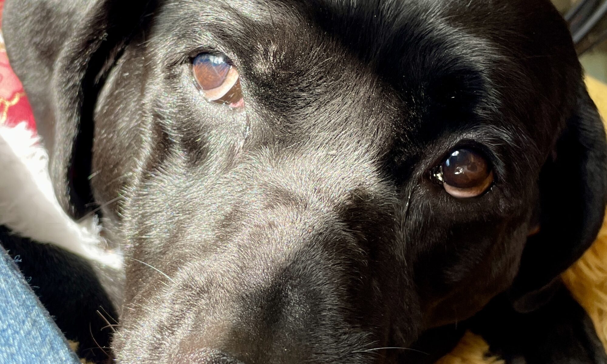 IDruzhinina, August 2025, Kew