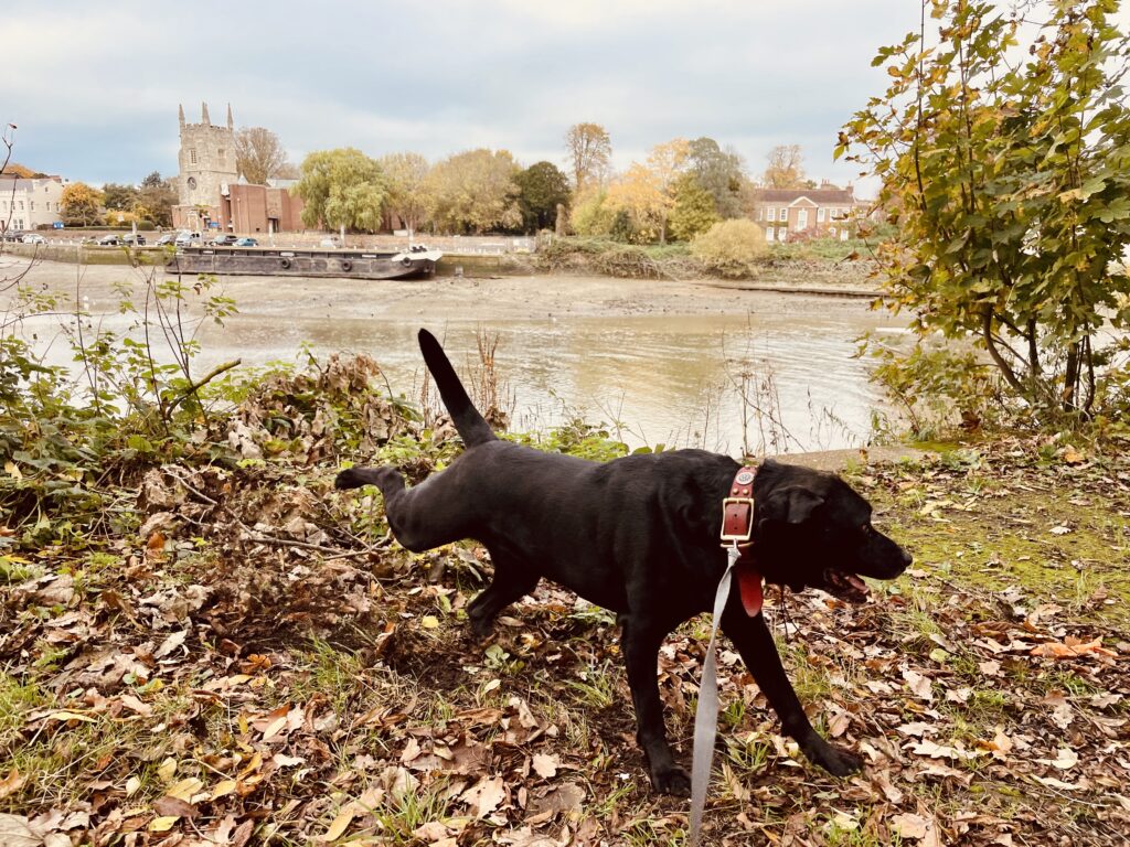 All Saints, IDruzhinina, 2025